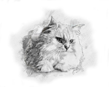 Charcoal Pet Portrait - Cat